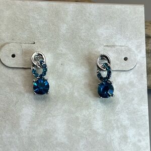 Elegant Blue and Silver Earrings